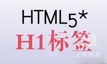 網(wǎng)站H1標(biāo)簽有什么作用和如何正確使用H1標(biāo)簽